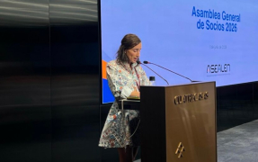 "Pocas veces el almacenamiento de energía ha ocupado una posición tan central en el debate energético" "Pocas veces el almacenamiento de energía ha ocupado una posición tan central en el debate energético"