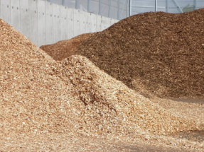La biomasa sólida sigue encabezando las aplicaciones de bioenergía en todo el mundo