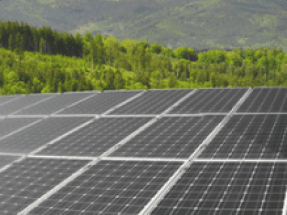 Avaada Energy Wins Solar Project From Ruvnl