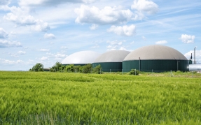 Cataluña plantea instalar doce nuevas plantas de biogás cada año hasta 2030