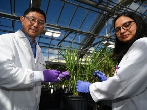Unlocking Sugar to Generate Biofuels and Bioproducts