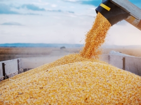 Bunge y Olleco se alían para abastecer de aceites alimentarios a Europa y producir combustibles renovables