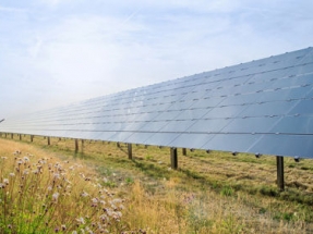 Bosch Expanding Supply of Renewable Energy