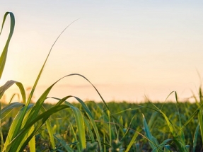 $400 Billion US Farm Bill A Boon to Bioenergy Production