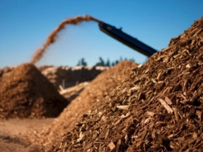 Bioenergy Ibérica firma una alianza con la danesa CM Biomass para la distribución de biomasa