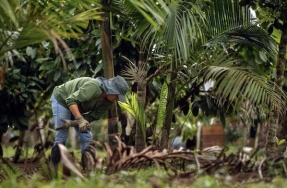 Bienvenidos al agrovecindario, un modelo urbano que devuelve la naturaleza a las ciudades
