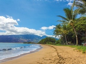 Ameresco to Build Biofuel Facility on Maui