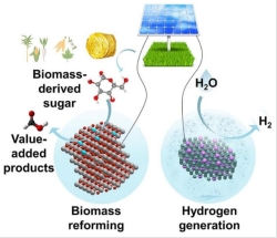 Solar Co-Electrolysis Process Converts Biomass to Green Hydrogen 
