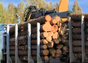 Jenike Granted Patent for Jen-Zero™ Biomass Feeding Technology