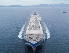 NYK to Purchase CDR Credits From Graphyte