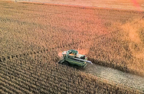 VORN Bioenergy Advances its Strategic Expansion in Portugal