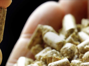 Proyecto BioNA : una apuesta por el potencial de la bioenergía en el norte argentino
 