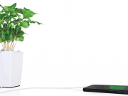 Los paneles de Bioo que imitan a las plantas, premiados en #SouthSummit16