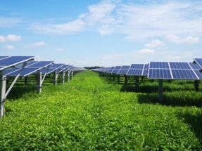 Boviet Solar and Origis Energy Enter Into 700-Megawatt Supply Agreement