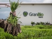 Es inminente la llegada del etanol de segunda generación