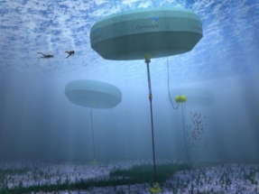 Enel and Carnegie Clean Energy to Collaborate on Wave Energy Generator Development