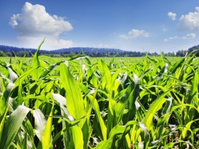China Will Reportedly Triple Ethanol Production by 2020
