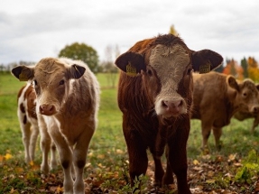 Fort Hill Farms Digester will Produce Renewable Energy from Food Waste 