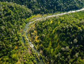 Three California Counties Work Together to Promote Biomass Utilization