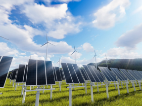 Capital Energy obtiene las primeras autorizaciones ambientales en Madrid para dos plantas fotovoltaicas