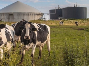 California’s Capstone Lands French Biogas-to-Energy Project 