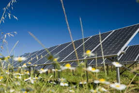 La fotovoltaica afianza su liderazgo con nuevos récords de generación en España