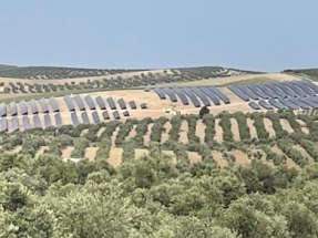 ¿Quién le debe 2 millones de euros a la Comunidad de Regantes de Mengíbar: Red Eléctrica o Endesa?
