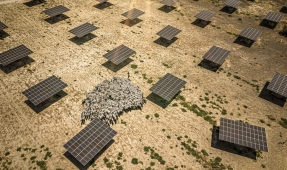 
Nautracker, premio Mejor Tecnología Innovadora por sus seguidores solares flotantes 
