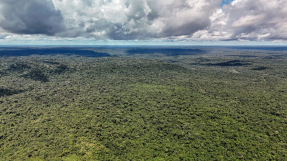 Brasil aprueba 250 millones de reales del Fondo Climático para recuperar 4.000 hectáreas en la Amazonía