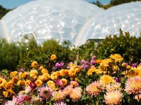 Eden Project Secures Funding for Phase One of Geothermal Plan