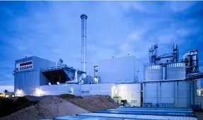 Biomass to Energy: 2025 Emerges As a Strong Year With Over 3 GW of Capacity Added 