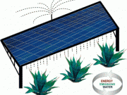 Dos en uno: fotovoltaica y biocombustibles