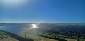 Engie inaugura un parque fotovoltaico de 72 MW en la localidad sevillana de Huévar del Aljarafe