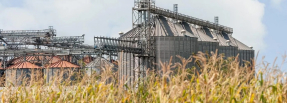 Las subastas de cogeneración benefician la sustitución de gas natural y carbón por biomasa