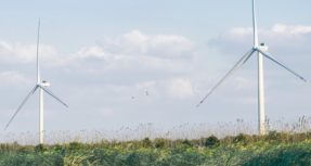 Envision Breaks into Brazil with 630MW Casa dos Ventos Project