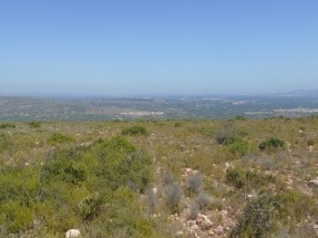 
Escrapalia saca a subasta suelo rústico para la instalación de una planta fotovoltaica
