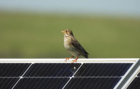 UNEF abre la convocatoria de dos concursos para destacar el impacto social de la fotovoltaica