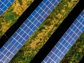 FieldFare Renewables gana 100 MW fotovoltaicos en la primera subasta de energía renovable de Argentina