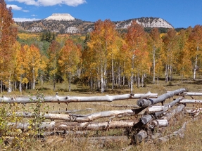 BLM Announces Geothermal Lease Sale In Southwestern Utah