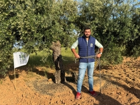 Organizaciones rurales advierten sobre las "consecuencias penales" de las plantas fotovoltaicas proyectadas en Jaén
