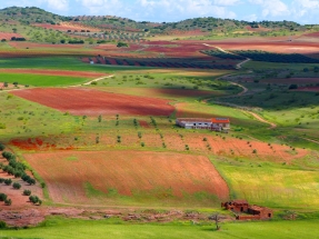 EcoJusta, la plataforma ciudadana que redefine el PNIEC para garantizar una transición verdaderamente ecológica justa