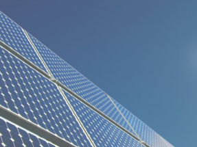 ABO Energy construye su primer parque solar llave en mano de 50 MW en Guadalajara