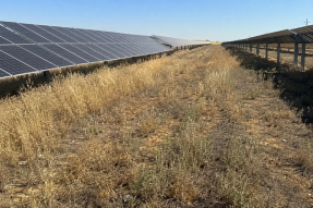Dos personas afectadas por un incendio en una planta fotovoltaica de Palencia