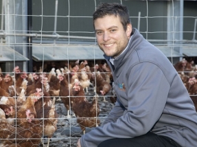 Underfloor Heating from Green Energy Keeps Hens Laying