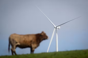 El Constitucional reactiva la exigencia de repotenciar los parques eólicos gallegos al cumplir 25 años