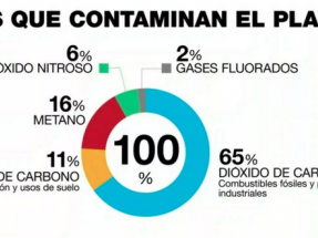 Estos son los gases que más amenazan el planeta