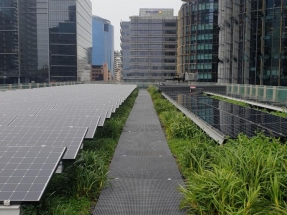 Green Roofs Best for Solar Installations