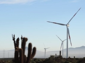 Los conflictos con comunidades indígenas ponen fin al proyecto Windpeshi en La Guajira
 