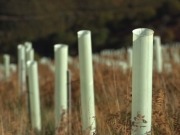 Red Eléctrica de España se inscribe en el Registro de Huella de Carbono