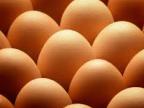 Huevos Guillén llega a la energía verde de la mano de Alcanzia